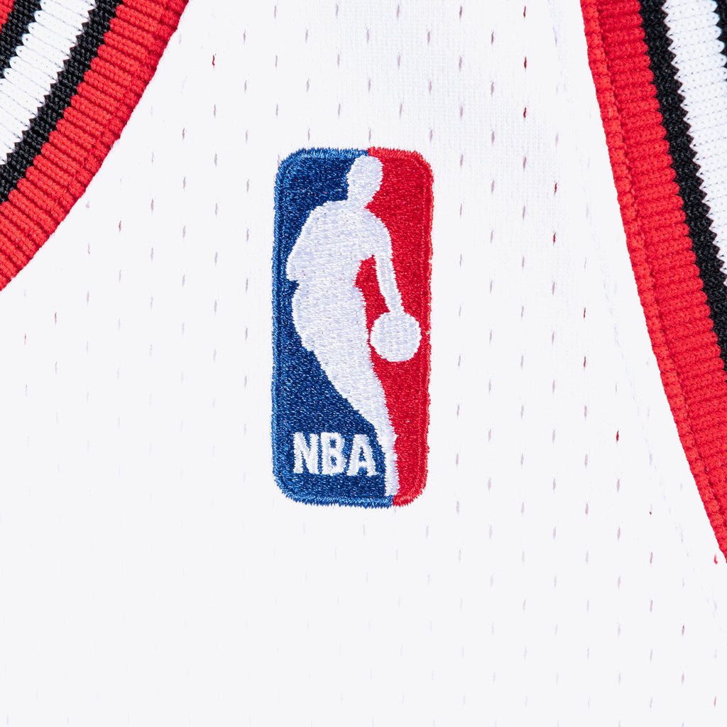 Michael Jordan Chicago Bulls 1995 - 96 Authentic Basketball Jersey