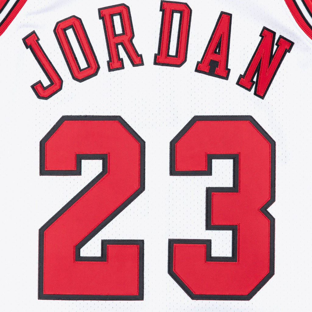 Michael Jordan Chicago Bulls 1995 - 96 Authentic Basketball Jersey