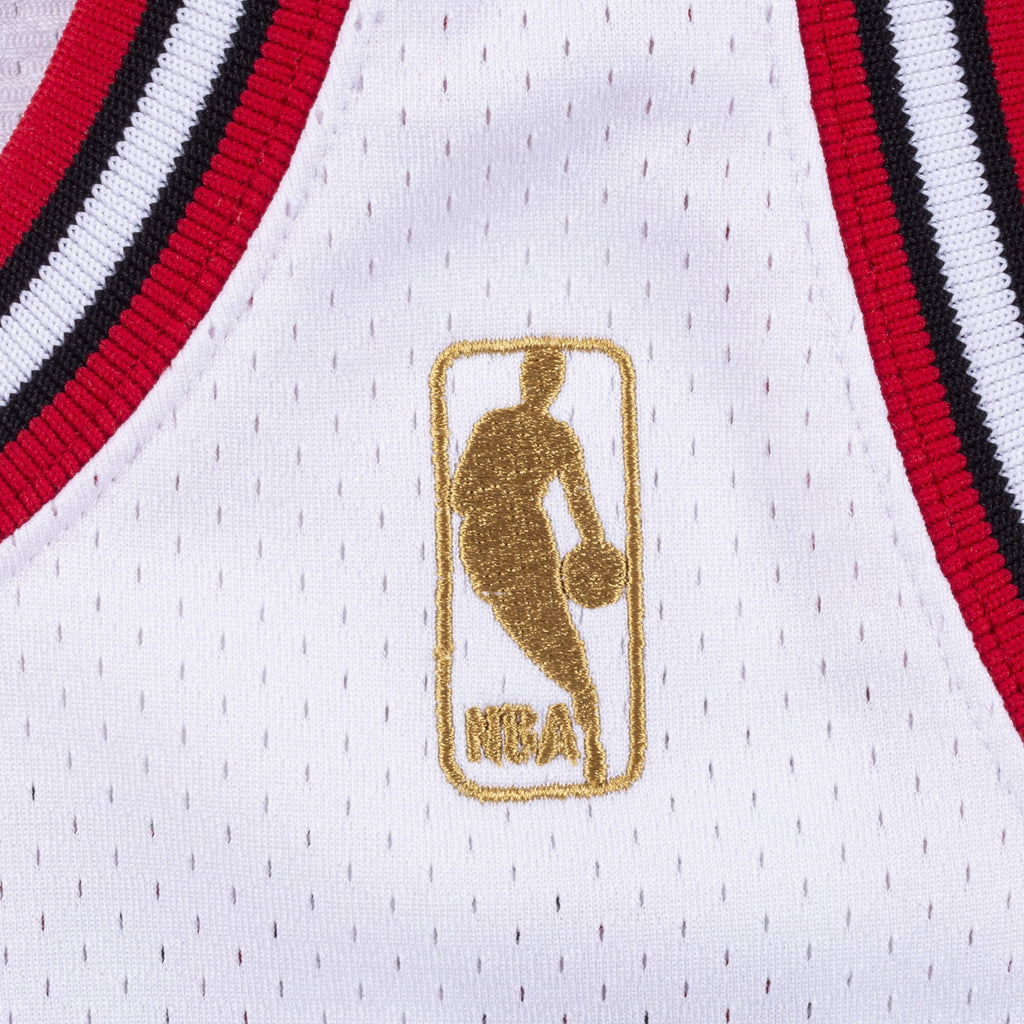Michael Jordan Chicago Bulls 1995 - 96 Authentic Basketball Jersey