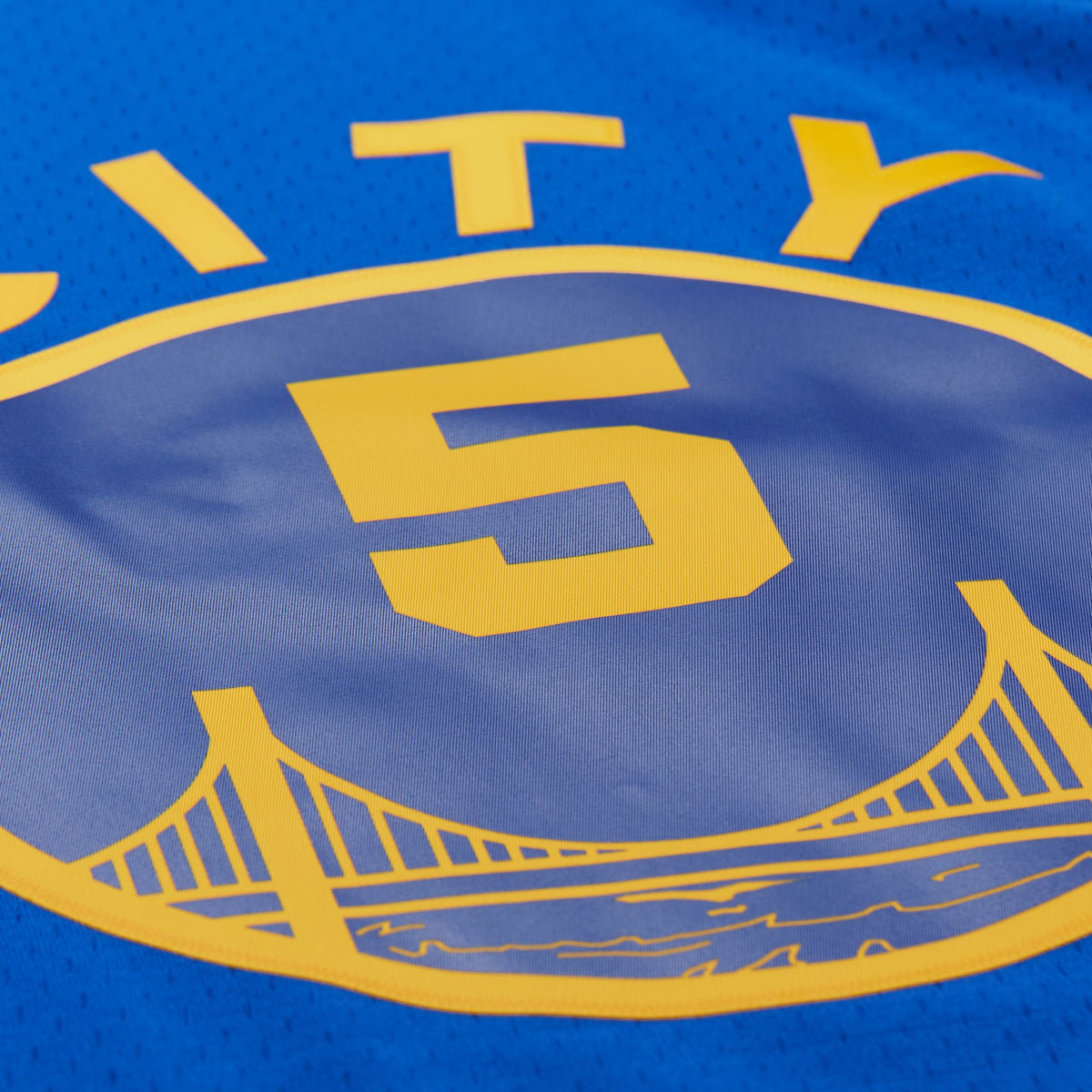 Baron Davis Golden State Warriors 2004 Swingman Basketball Jersey