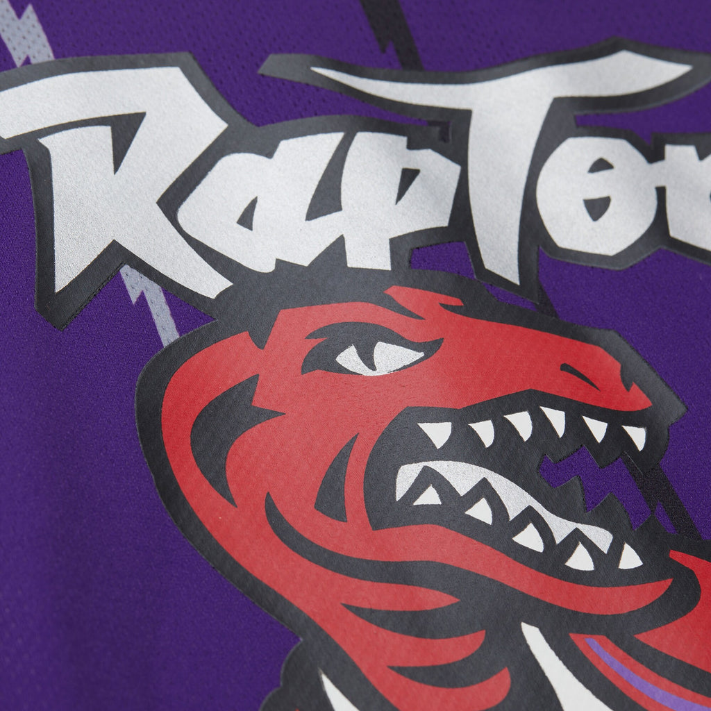 Toronto Raptors Basketball Jersey - Unisex