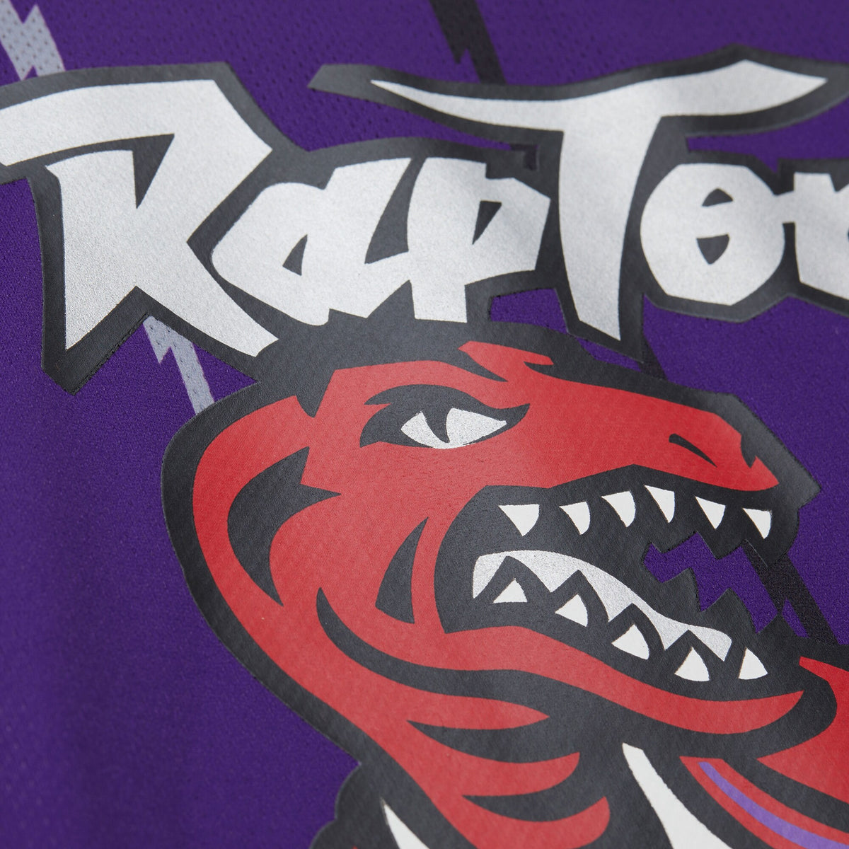 Toronto Raptors Basketball Jersey - Unisex