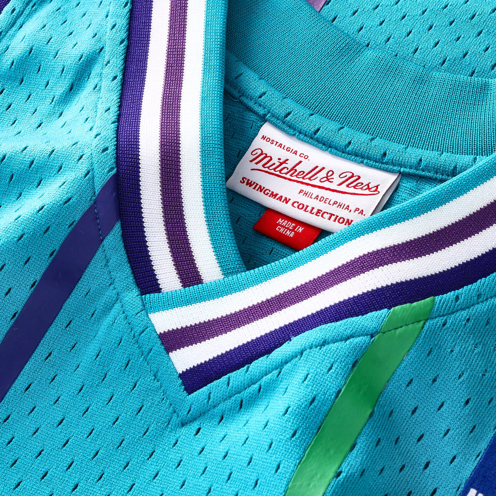 Alonzo Mourning Charlotte Hornets Swingman Basketball Jersey