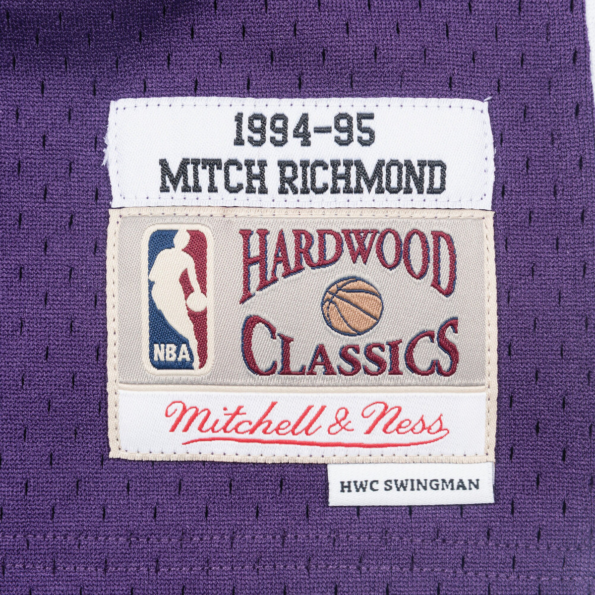 Mitch Richmond Sacramento Kings 1994 - 95 Swingman Basketball Jersey