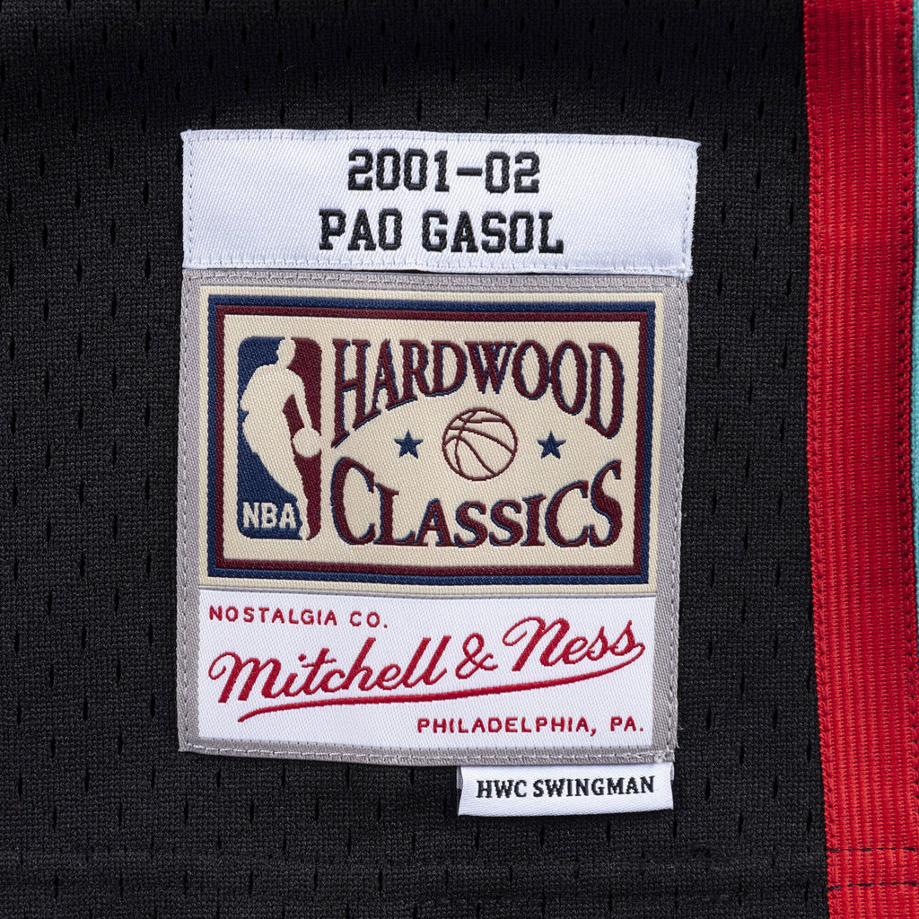 Pau Gasol Memphis Grizzlies 2001 - 02 Swingman Basketball Jersey