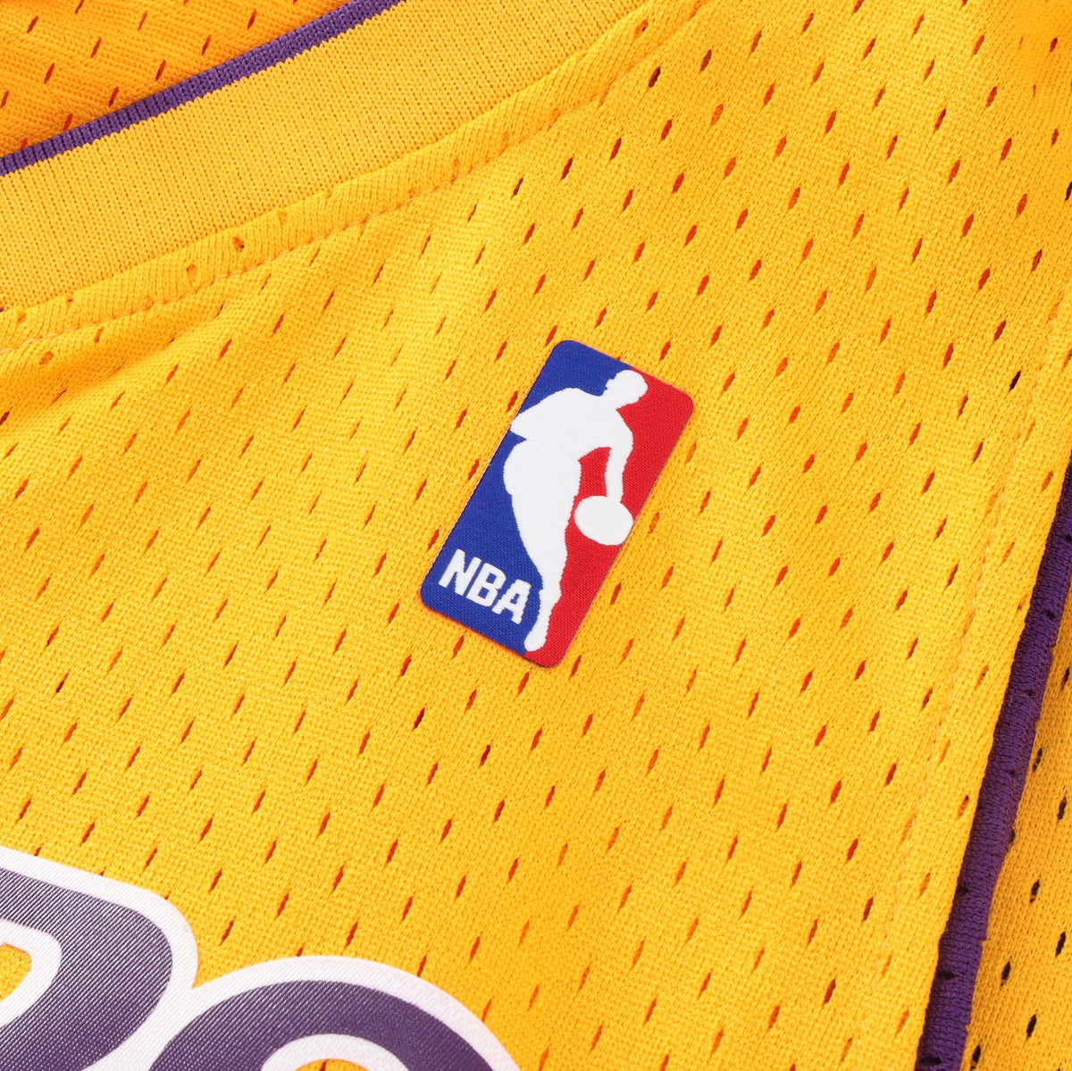 Lamar Odom Los Angeles Lakers Swingman Basketball Jersey