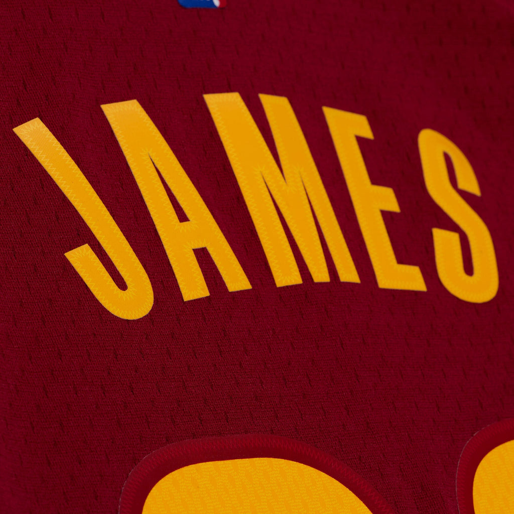 LeBron James Cleveland Cavaliers 2015 - 16 Basketball Jersey