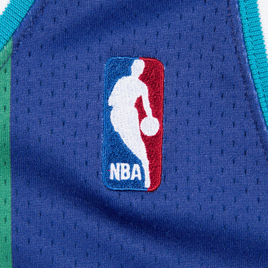 Alonzo Mourning Charlotte Hornets 1994 - 95 Authentic Alternate Basketball Jersey