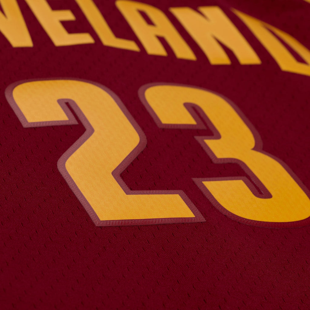 LeBron James Cleveland Cavaliers 2015 - 16 Basketball Jersey
